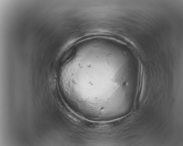 X0000059801363200511041616