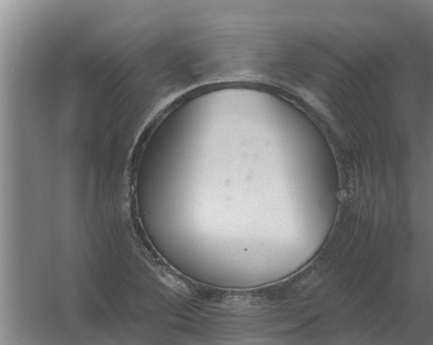 X0000059801364200511041616