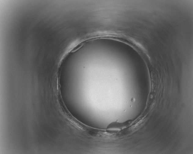 X0000059801365200511041616