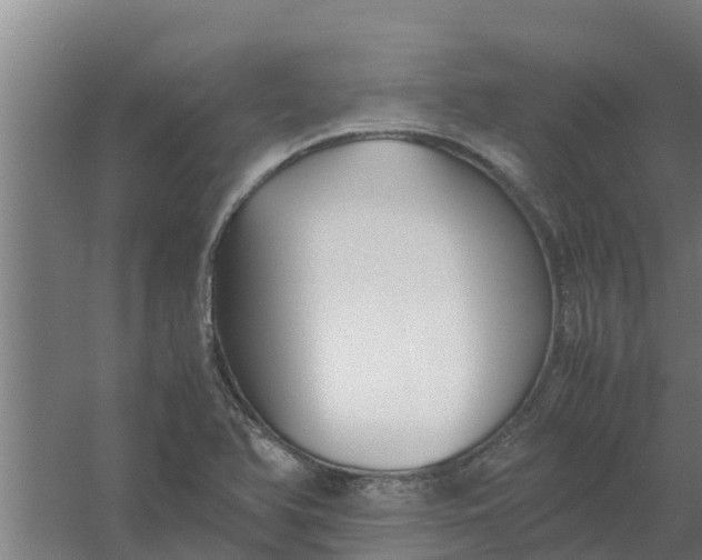 X0000059801366200511041616