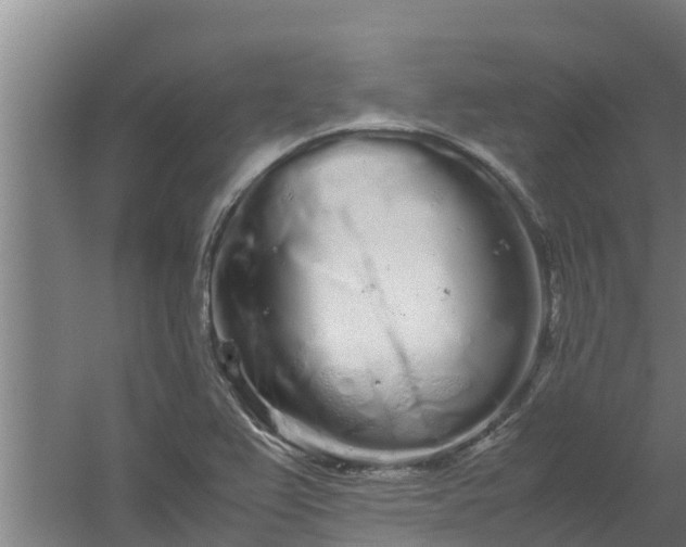 X0000059801367200511041616