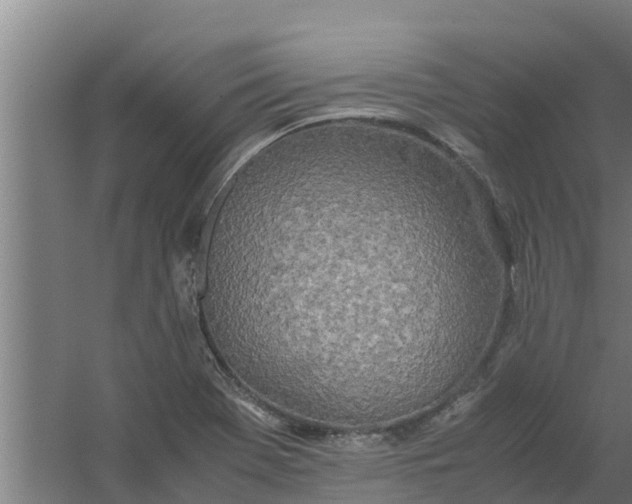 X0000059801369200511041616