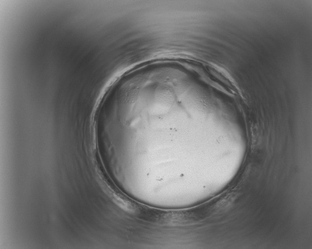 X0000059801371200511041616