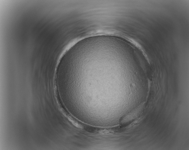 X0000059801373200511041616