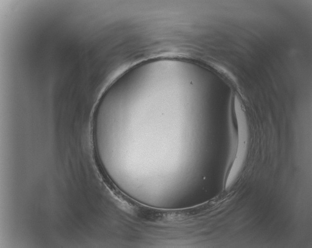 X0000059801375200511041616