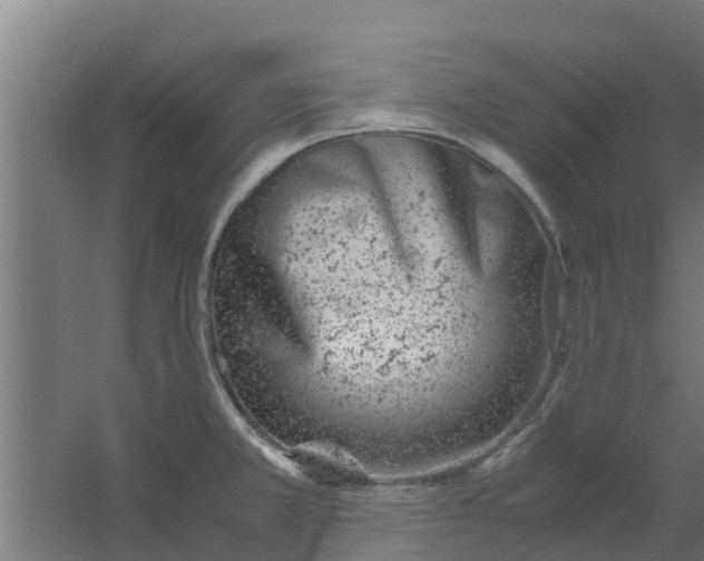 X0000059801381200511041615