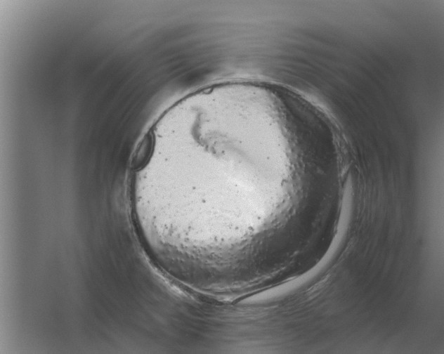 X0000059801382200511041615