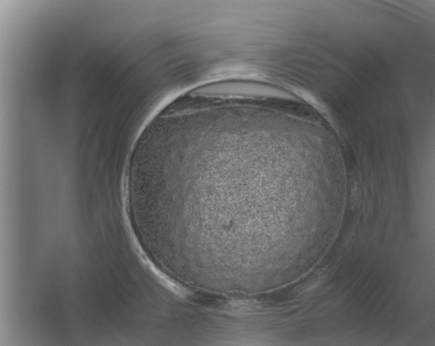 X0000059801383200511041615