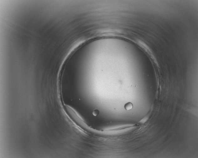 X0000059801384200511041615