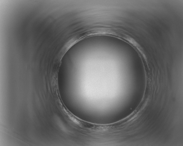 X0000059801385200511041615