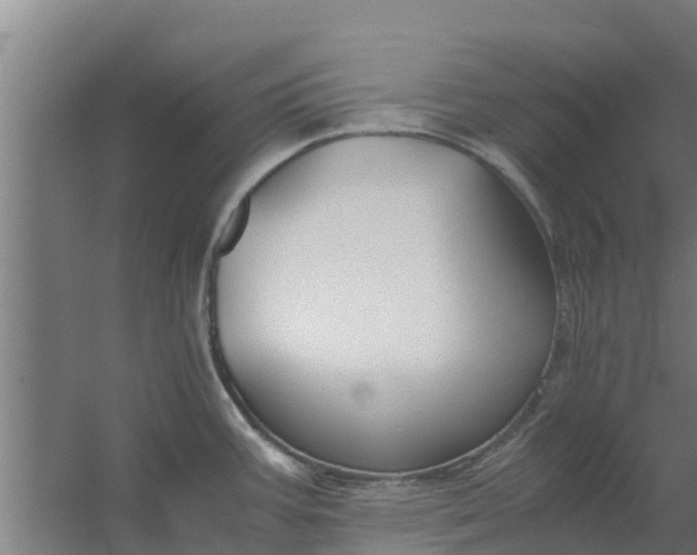 X0000059801387200511041615