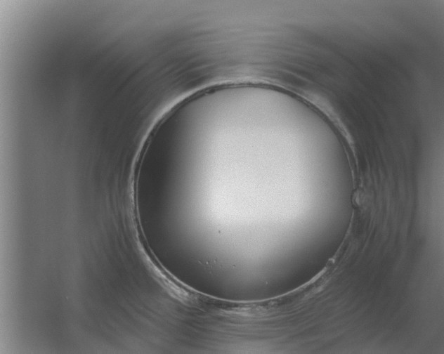 X0000059801388200511041615