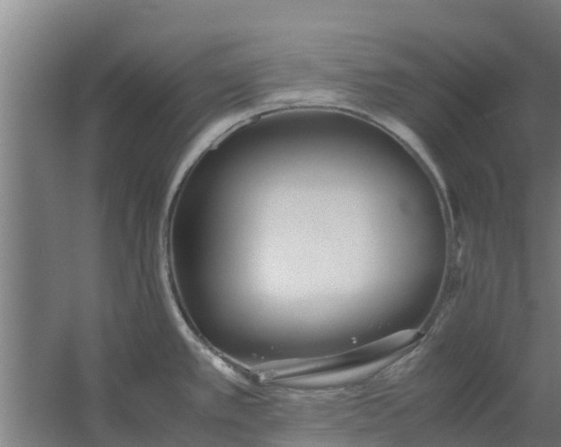 X0000059801389200511041615