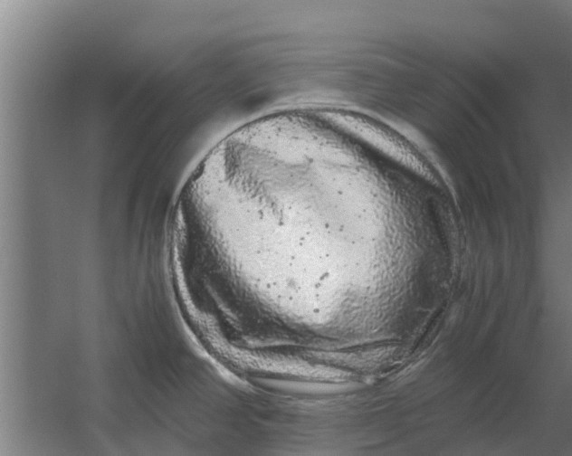 X0000059801390200511041615