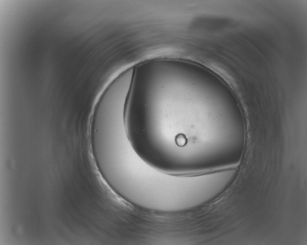 X0000059801392200511041615