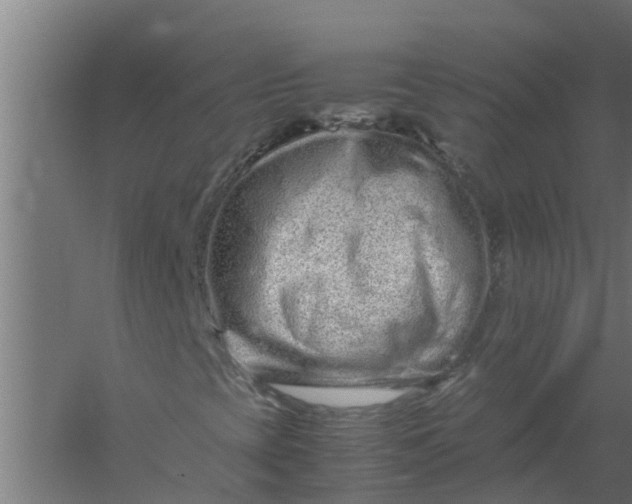 X0000059801393200511041614