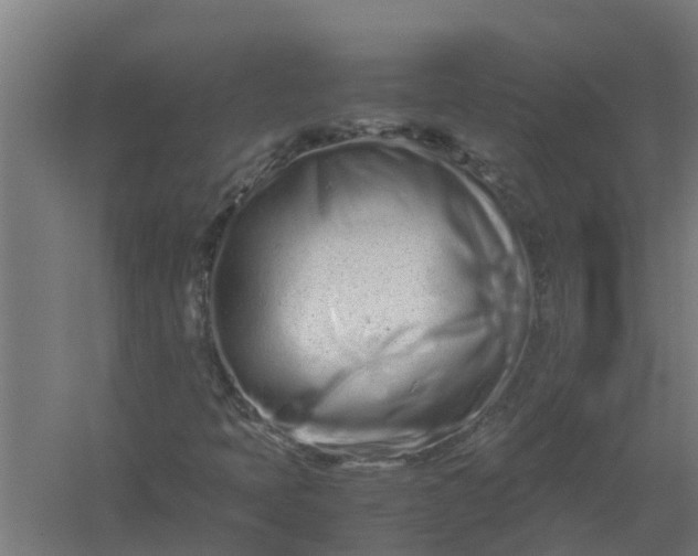 X0000059801397200511041615