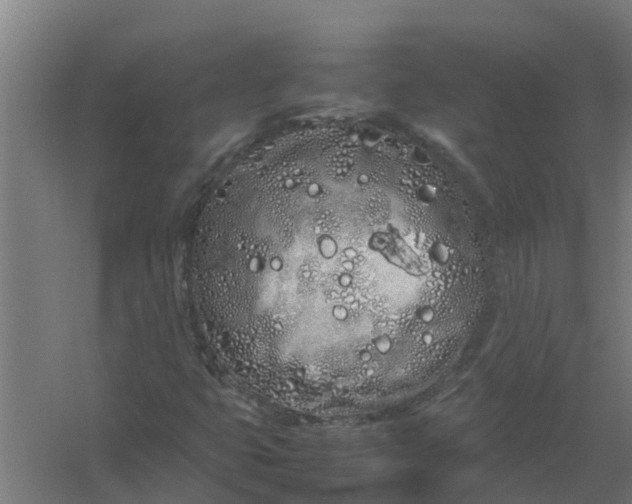 X0000059801399200511041615