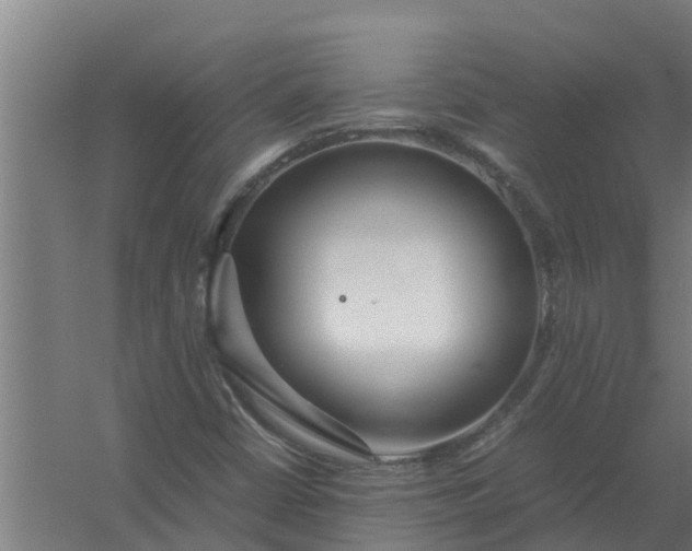 X0000059801402200511041615