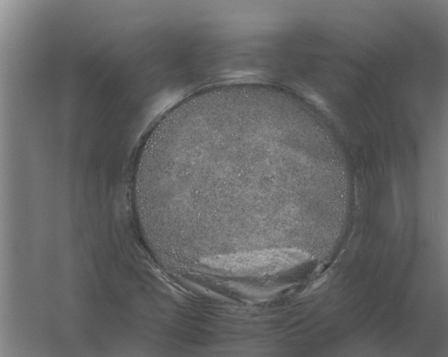 X0000059801405200511041615