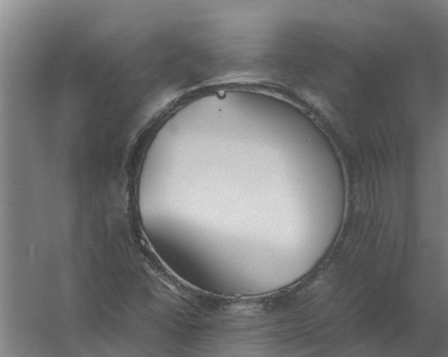 X0000059801406200511041615