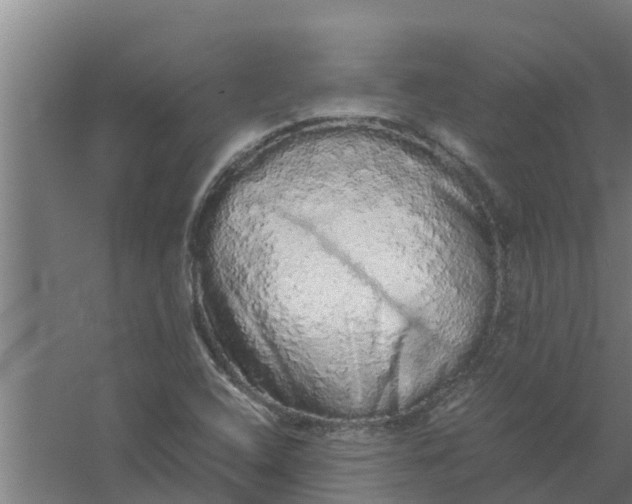 X0000059801408200511041615