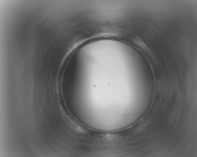 X0000059801412200511041615