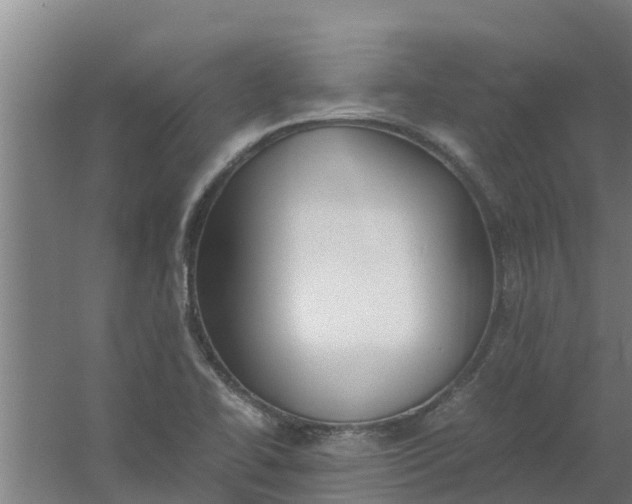 X0000059801414200511041615