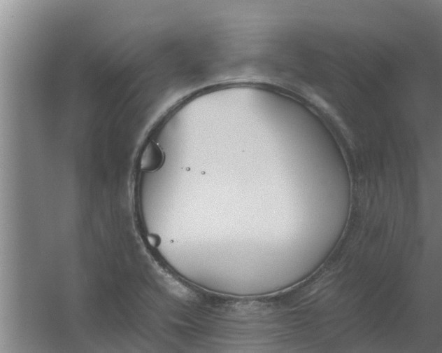 X0000059801416200511041615