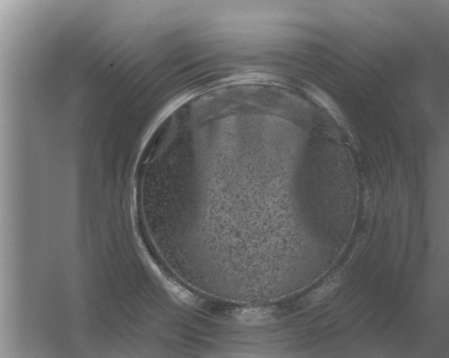 X0000059801418200511041615