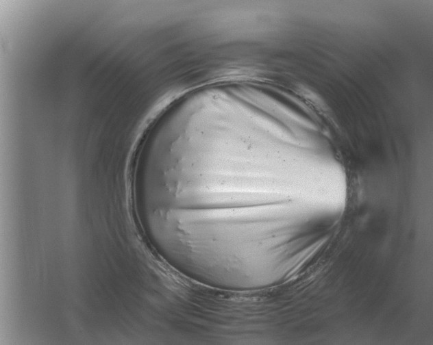 X0000059801419200511041615