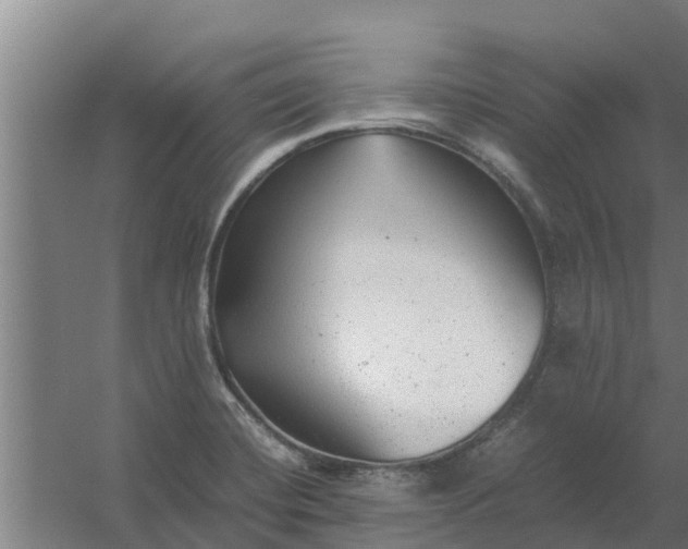 X0000059801420200511041615