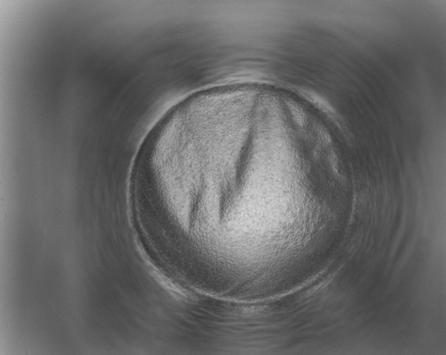 X0000059801423200511041615