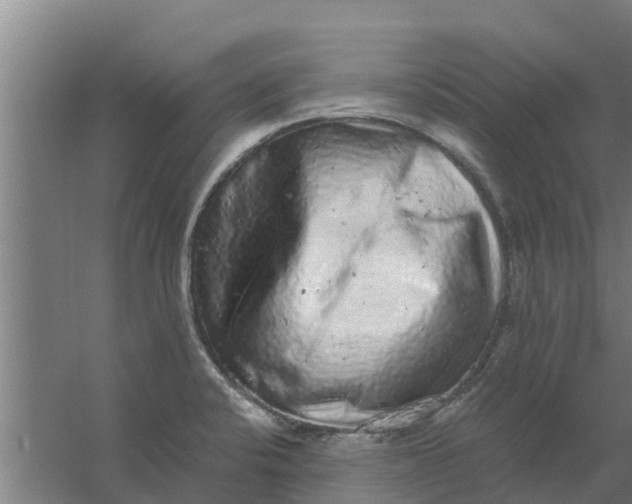 X0000059801424200511041615