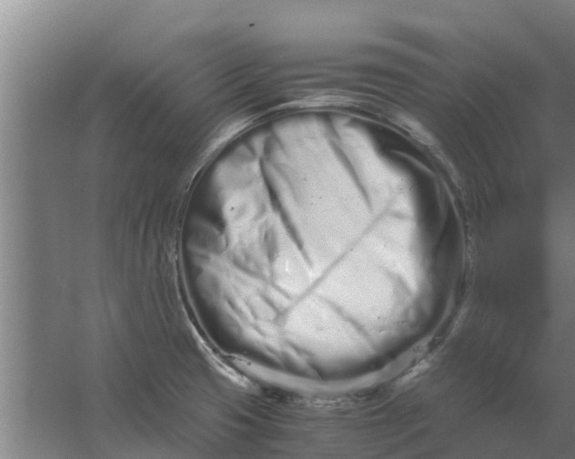 X0000059801425200511041615