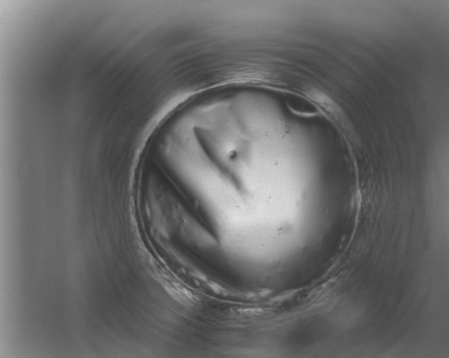 X0000059801427200511041615