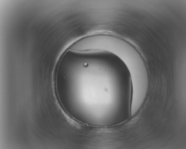 X0000059801430200511041615