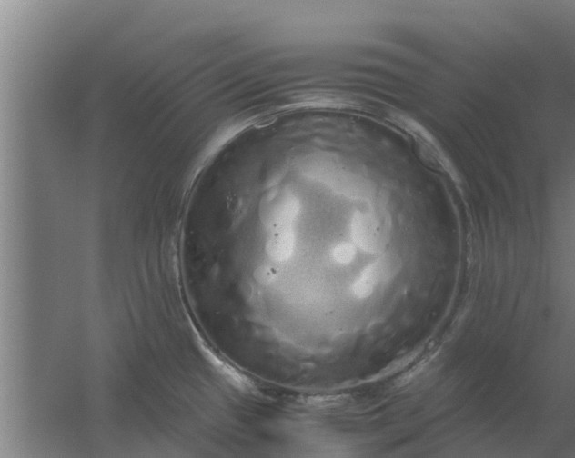 X0000059801433200511041615