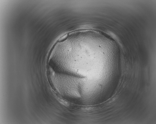 X0000059801435200511041615