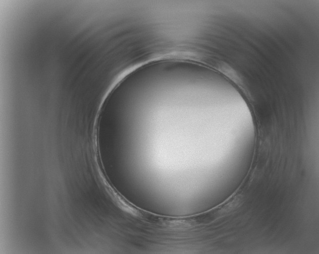 X0000059801436200511041615