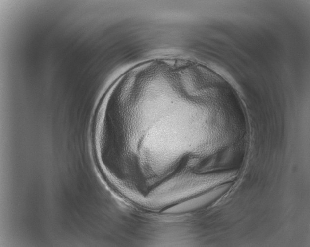 X0000059801440200511041615