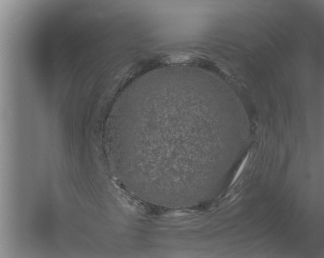 X0000059801441200511041614