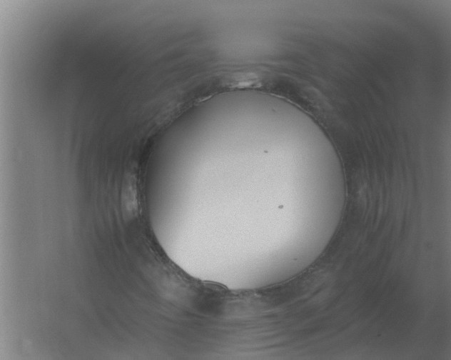 X0000059801442200511041614