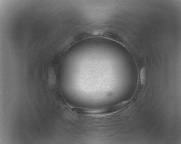 X0000059801443200511041614