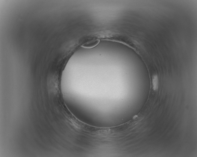 X0000059801444200511041614