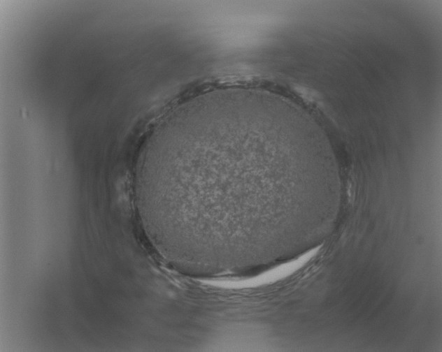 X0000059801445200511041614