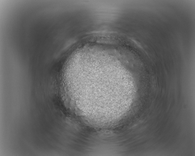 X0000059801446200511041614