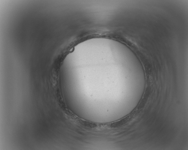 X0000059801447200511041614