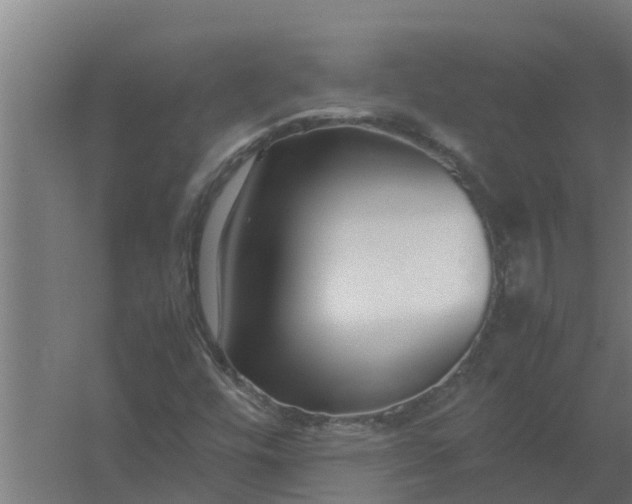 X0000059801448200511041614