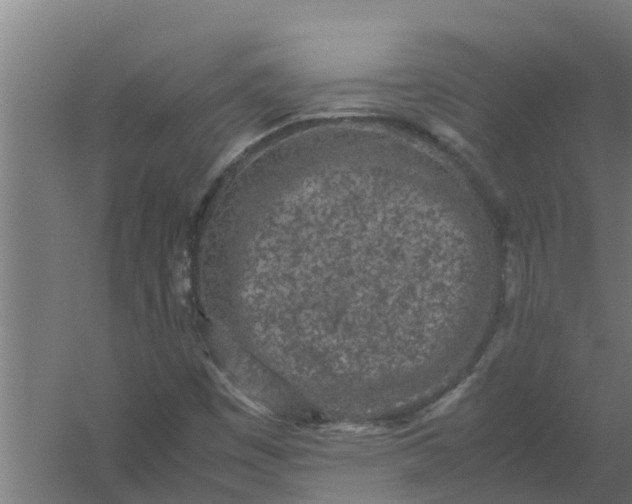 X0000059801449200511041614